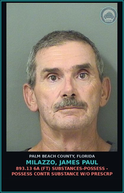 CCW arrest card for MILAZZO, JAMES PAUL in Palm Beach County: 893.13 6A (FT) DRUGS-POSSESS - POSSESS contr substance W/O PRESCRIPTION