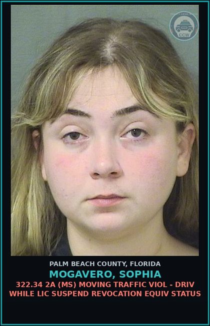 CCW arrest card for MOGAVERO, SOPHIA in Palm Beach County: 316.027 2A (FT) HIT AND RUN - FAIL STOP REM CRSH INV INJ OTH THN SER BOD INJ
