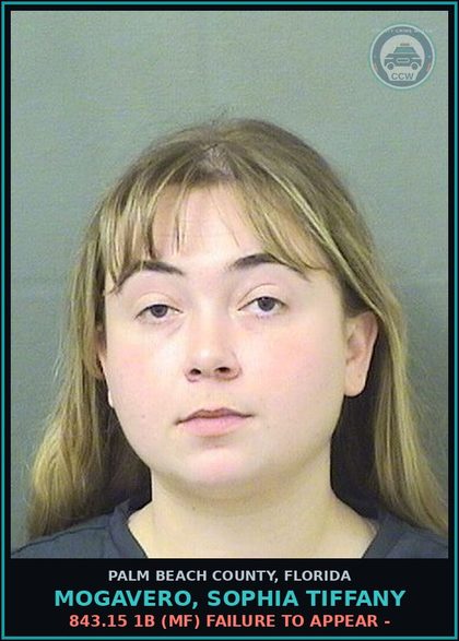 CCW arrest card for MOGAVERO, SOPHIA TIFFANY in Palm Beach County: 843.15 1B (MF) FAILURE TO APPEAR -