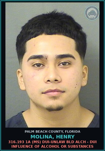 CCW arrest card for MOLINA, HENRY in Palm Beach County: 316.193 1A (MS) DUI-UNLAW BLD ALCH - DUI INFLUENCE OF ALCOHOL OR DRUGS