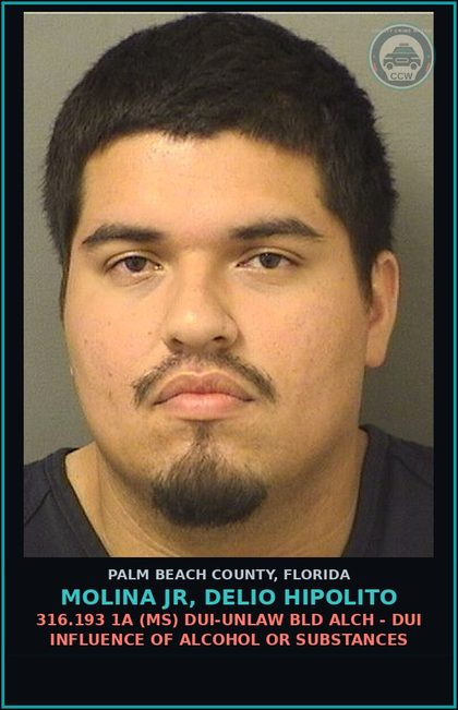 CCW arrest card for MOLINA JR, DELIO HIPOLITO in Palm Beach County: 316.193 1A (MS) DUI-UNLAW BLD ALCH - DUI INFLUENCE OF ALCOHOL OR DRUGS