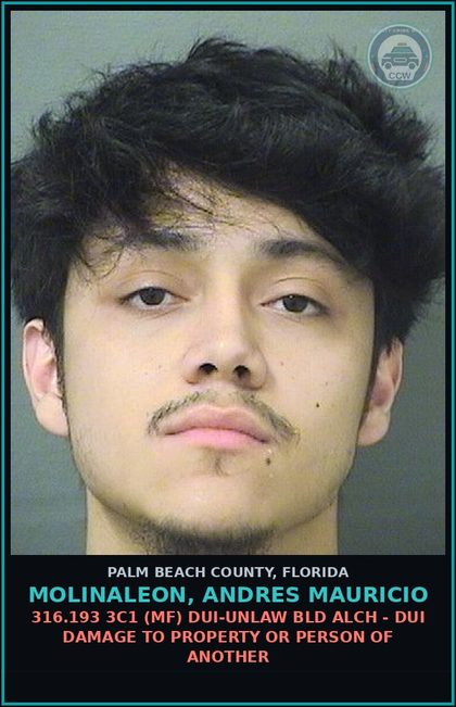 CCW arrest card for MOLINALEON, ANDRES MAURICIO in Palm Beach County: 316.193 3C1 (MF) DUI-UNLAW BLD ALCH - DUI DAMAGE TO PROPERTY OR PERSON OF ANOTHER
