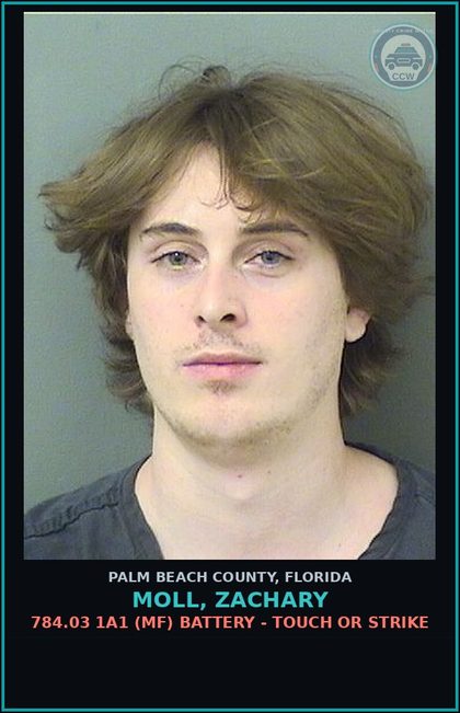 CCW arrest card for MOLL, ZACHARY in Palm Beach County: 784.03 1A1 (MF) BATTERY - TOUCH OR STRIKE