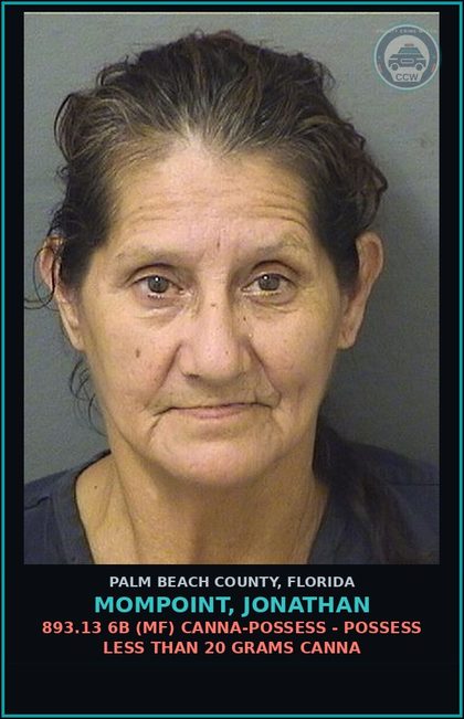 CCW arrest card for MOMPOINT, JONATHAN in Palm Beach County: 893.13 6B (MF) Canna-POSSESS - POSSESS LESS THAN 20 GRAMS Canna