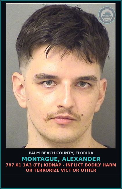 CCW arrest card for MONTAGUE, ALEXANDER in Palm Beach County: 784.041 2A (FT) BATTERY - COMMIT DOMESTIC BATTERY BY STRANGULATION