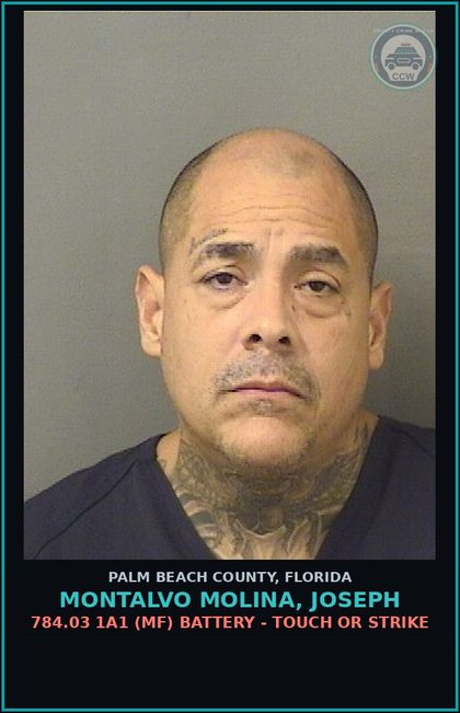 CCW arrest card for MONTALVO MOLINA, JOSEPH in Palm Beach County: 784.03 1A1 (MF) BATTERY - TOUCH OR STRIKE