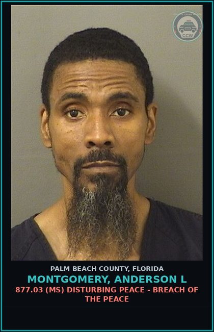 CCW arrest card for MONTGOMERY, ANDERSON L in Palm Beach County: 877.03 (MS) DISTURBING PEACE - BREACH OF THE PEACE