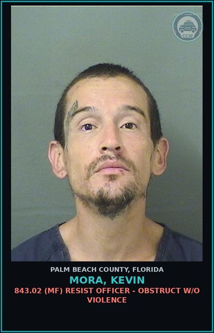 CCW arrest card for MORA, KEVIN in Palm Beach County: 316.1935 2 (FT) FLEE/ELUDE POLICE - FLEE ELUDE LEO WITH LIGHTS SIREN ACTIVE