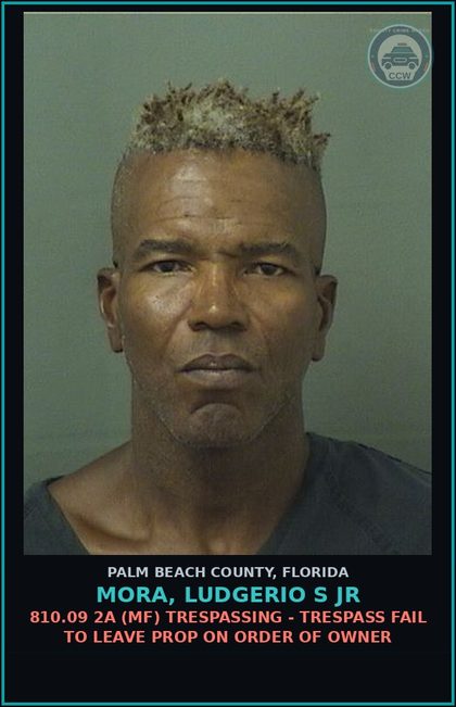 CCW arrest card for MORA, LUDGERIO S Jr in Palm Beach County: 810.09 2A (MF) TRESPASSING - TRESPASS FAIL TO LEAVE PROP ON ORDER OF OWNER