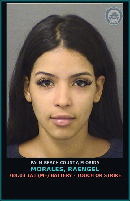 CCW arrest card for MORALES, RAENGEL in Palm Beach County: 784.03 1A1 (MF) BATTERY - TOUCH OR STRIKE