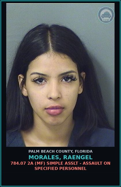 CCW arrest card for MORALES, RAENGEL in Palm Beach County: 784.07 2A (MF) SIMPLE ASSLT - ASSAULT ON SPECIFIED PERSONNEL