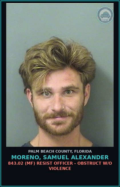 CCW arrest card for MORENO, SAMUEL ALEXANDER in Palm Beach County: 316.193 1A (MS) DUI-UNLAW BLD ALCH - DUI INFLUENCE OF ALCOHOL OR DRUGS