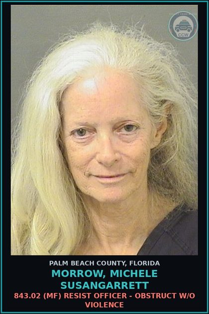 CCW arrest card for MORROW, MICHELE SUSANGARRETT in Palm Beach County: 316.072 3 (MS) PUBLIC ORDER CRIMES - FAIL TO OBEY POLICE OR FIRE DEPARTMENT