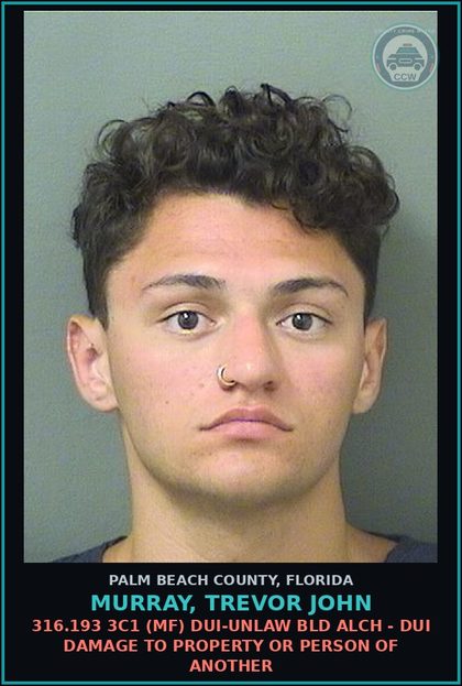 CCW arrest card for MURRAY, TREVOR JOHN in Palm Beach County: 316.193 3C1 (MF) DUI-UNLAW BLD ALCH - DUI DAMAGE TO PROPERTY OR PERSON OF ANOTHER