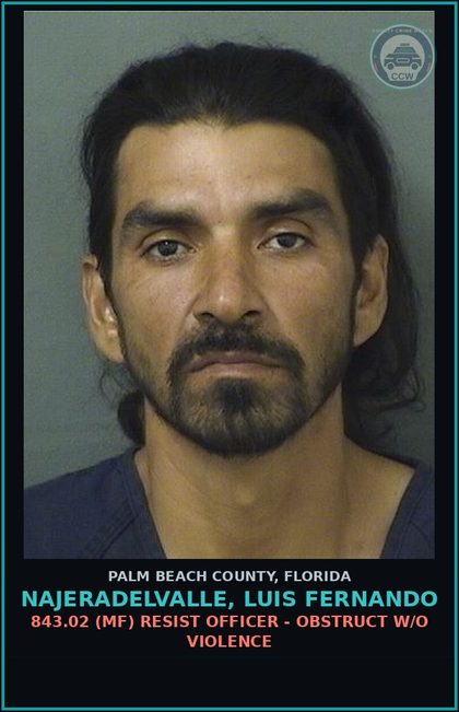 CCW arrest card for NAJERADELVALLE, LUIS FERNANDO in Palm Beach County: 322.03 1 (MS) MOVING TRAFFIC VIOL - OPERATE MOTOR VEHICLE W/O VALID LIC 1ST CONV