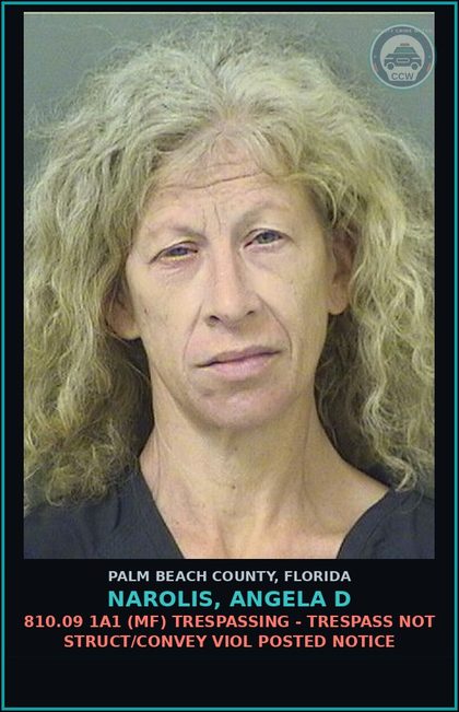 CCW arrest card for NAROLIS, ANGELA D in Palm Beach County: 893.13 6A (FT) DRUGS-POSSESS - POSSESS contr substance W/O PRESCRIPTION