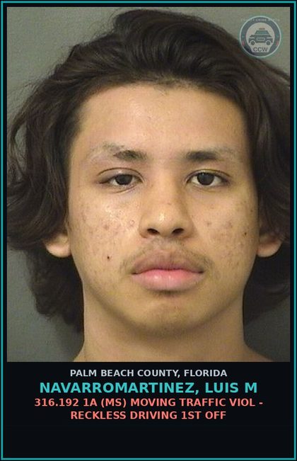 CCW arrest card for NAVARROMARTINEZ, LUIS M in Palm Beach County: 316.1935 3A (FS) FLEE/ELUDE POLICE - FLEE ELUDE HIGH SPEED OR DISR SAFETY PERS PROP
