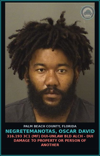 CCW arrest card for NEGRETEMANOTAS, OSCAR DAVID in Palm Beach County: 316.193 3C1 (MF) DUI-UNLAW BLD ALCH - DUI DAMAGE TO PROPERTY OR PERSON OF ANOTHER