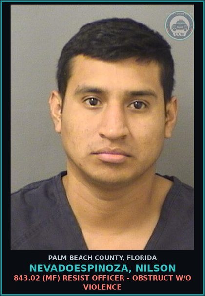 CCW arrest card for NEVADOESPINOZA, NILSON in Palm Beach County: 316.1935 2 (FT) FLEE/ELUDE POLICE - FLEE ELUDE LEO WITH LIGHTS SIREN ACTIVE