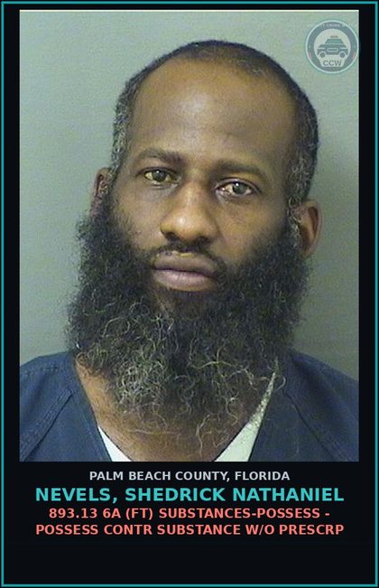 CCW arrest card for NEVELS, SHEDRICK NATHANIEL in Palm Beach County: 893.13 6A (FT) DRUGS-POSSESS - POSSESS contr substance W/O PRESCRIPTION