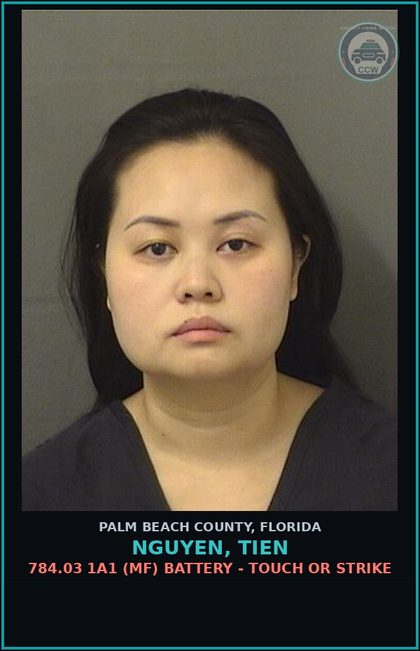 CCW arrest card for NGUYEN, TIEN in Palm Beach County: 784.03 1A1 (MF) BATTERY - TOUCH OR STRIKE
