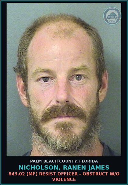 CCW arrest card for NICHOLSON, RANEN JAMES in Palm Beach County: 843.02 (MF) RESIST OFFICER - OBSTRUCT W/O VIOLENCE