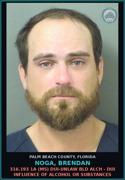 CCW arrest card for NOGA, BRENDAN in Palm Beach County: 316.193 1A (MS) DUI-UNLAW BLD ALCH - DUI INFLUENCE OF ALCOHOL OR DRUGS