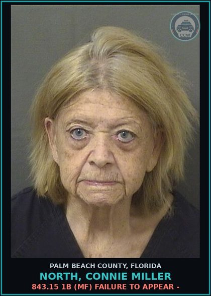 CCW arrest card for NORTH, CONNIE MILLER in Palm Beach County: 806.13 1B1 (MS) DAMAGE PROP-CRIM MISCH - CRIMINAL MISCHIEF DAMAGE PROPERTY LT $200