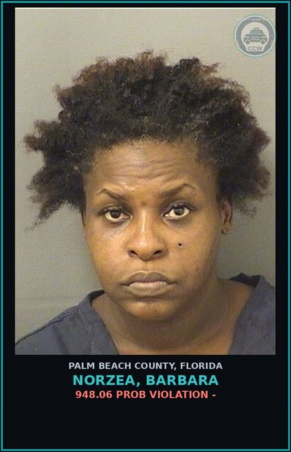 CCW arrest card for NORZEA, BARBARA in Palm Beach County: 948.06 PROB VIOLATION -