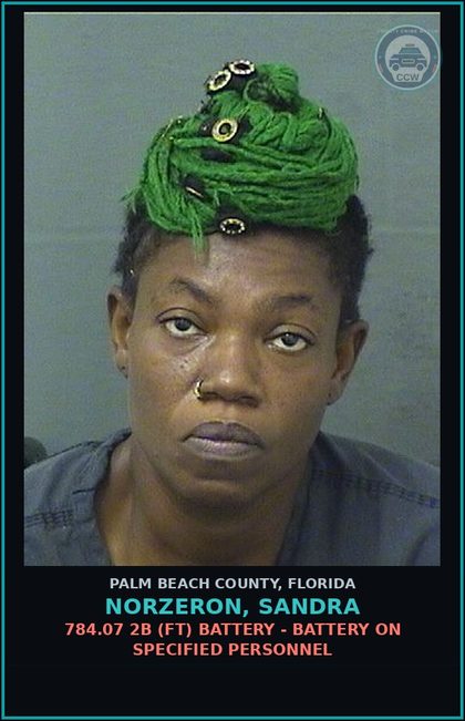 CCW arrest card for NORZERON, SANDRA in Palm Beach County: 843.01 1 (FT) RESIST OFFICER - RESIST OFFICER WITH VIOLENCE