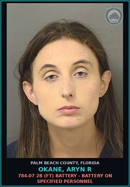CCW arrest card for OKANE, ARYN R in Palm Beach County: 784.07 2B (FT) BATTERY - BATTERY ON SPECIFIED PERSONNEL