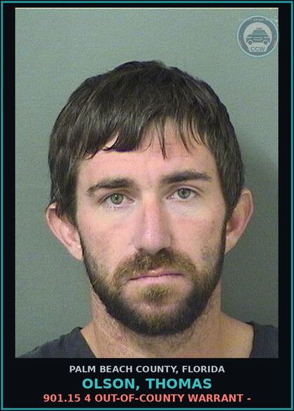 CCW arrest card for OLSON, THOMAS in Palm Beach County: 901.15 4 OUT-OF-COUNTY WARRANT -