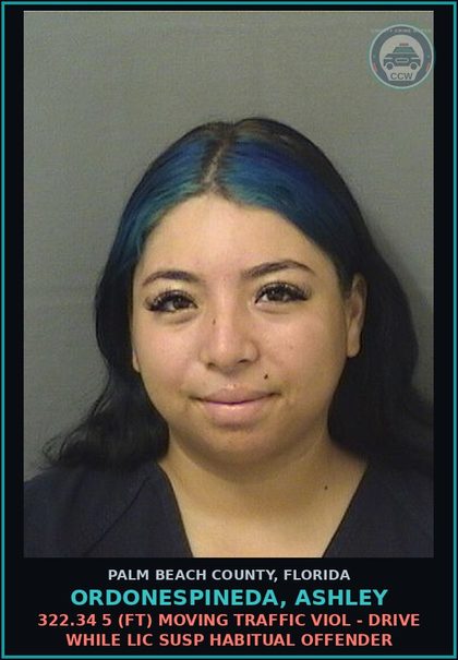 CCW arrest card for ORDONESPINEDA, ASHLEY in Palm Beach County: 322.34 5 (FT) MOVING TRAFFIC VIOL - DRIVE WHILE LIC SUSP HABITUAL OFFENDER