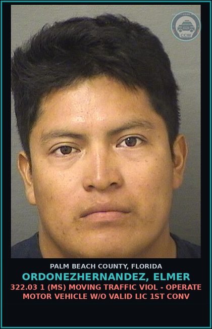 CCW arrest card for ORDONEZHERNANDEZ, ELMER in Palm Beach County: 322.03 1 (MS) MOVING TRAFFIC VIOL - OPERATE MOTOR VEHICLE W/O VALID LIC 1ST CONV