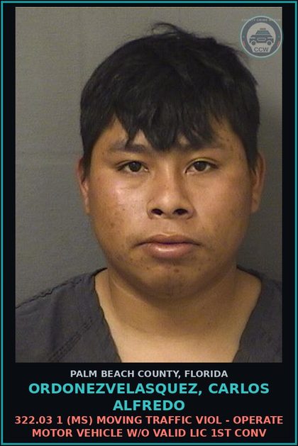 CCW arrest card for ORDONEZVELASQUEZ, CARLOS ALFREDO in Palm Beach County: 322.03 1 (MS) MOVING TRAFFIC VIOL - OPERATE MOTOR VEHICLE W/O VALID LIC 1ST CONV