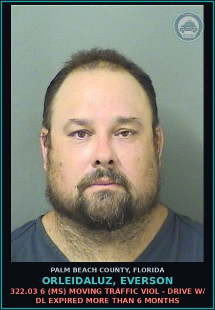 CCW arrest card for ORLEIDALUZ, EVERSON in Palm Beach County: 322.03 6 (MS) MOVING TRAFFIC VIOL - DRIVE W/ DL EXPIRED MORE THAN 6 MONTHS