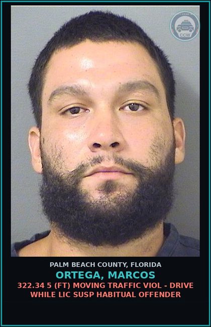 CCW arrest card for ORTEGA, MARCOS in Palm Beach County: 322.34 5 (FT) MOVING TRAFFIC VIOL - DRIVE WHILE LIC SUSP HABITUAL OFFENDER