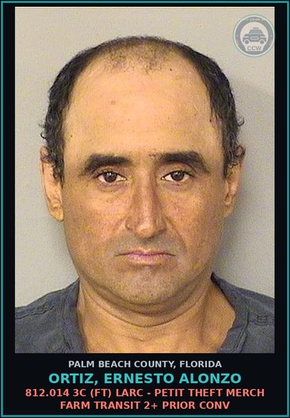 CCW arrest card for ORTIZ, ERNESTO ALONZO in Palm Beach County: 812.014 3C (FT) LARC - PETIT THEFT MERCH FARM TRANSIT 2+ PRIOR CONV