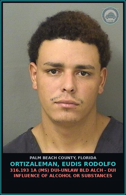 CCW arrest card for ORTIZALEMAN, EUDIS RODOLFO in Palm Beach County: 316.193 1A (MS) DUI-UNLAW BLD ALCH - DUI INFLUENCE OF ALCOHOL OR DRUGS