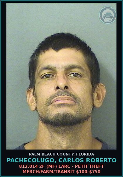 CCW arrest card for PACHECOLUGO, CARLOS ROBERTO in Palm Beach County: 843.15 1B (MF) FAILURE TO APPEAR -