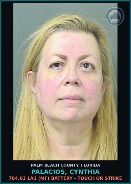 CCW arrest card for PALACIOS, CYNTHIA in Palm Beach County: 784.03 1A1 (MF) BATTERY - TOUCH OR STRIKE