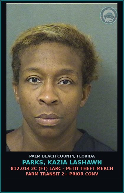 CCW arrest card for PARKS, KAZIA LASHAWN in Palm Beach County: 812.014 3C (FT) LARC - PETIT THEFT MERCH FARM TRANSIT 2+ PRIOR CONV