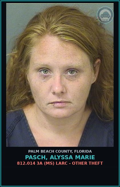CCW arrest card for PASCH, ALYSSA MARIE in Palm Beach County: 812.014 3A (MS) LARC - OTHER THEFT