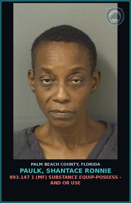 CCW arrest card for PAULK, SHANTACE RONNIE in Palm Beach County: 893.13 6A (FT) DRUGS-POSSESS - POSSESS contr substance W/O PRESCRIPTION