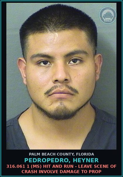 CCW arrest card for PEDROPEDRO, HEYNER in Palm Beach County: 316.061 1 (MS) HIT AND RUN - LEAVE SCENE OF CRASH INVOLVE DAMAGE TO PROP
