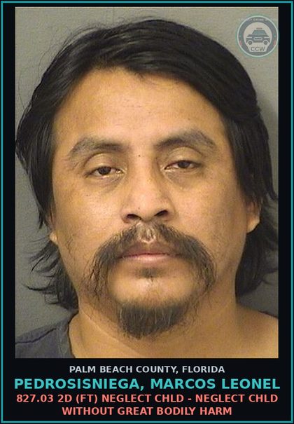 CCW arrest card for PEDROSISNIEGA, MARCOS LEONEL in Palm Beach County: 827.03 2D (FT) NEGLECT chld - NEGLECT chld WITHOUT GREAT BODILY HARM