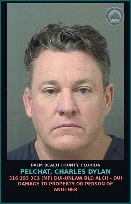 CCW arrest card for PELCHAT, CHARLES DYLAN in Palm Beach County: 316.193 3C1 (MF) DUI-UNLAW BLD ALCH - DUI DAMAGE TO PROPERTY OR PERSON OF ANOTHER