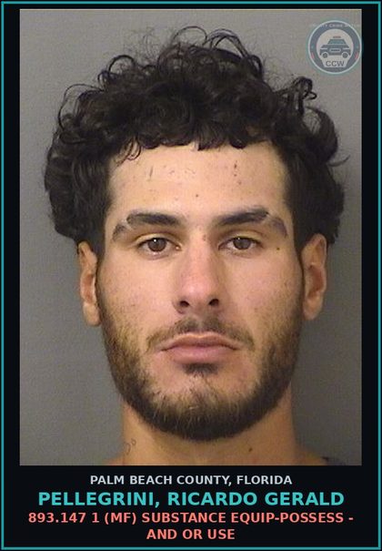 CCW arrest card for PELLEGRINI, RICARDO GERALD in Palm Beach County: 893.13 6A (FT) DRUGS-POSSESS - POSSESS contr substance W/O PRESCRIPTION