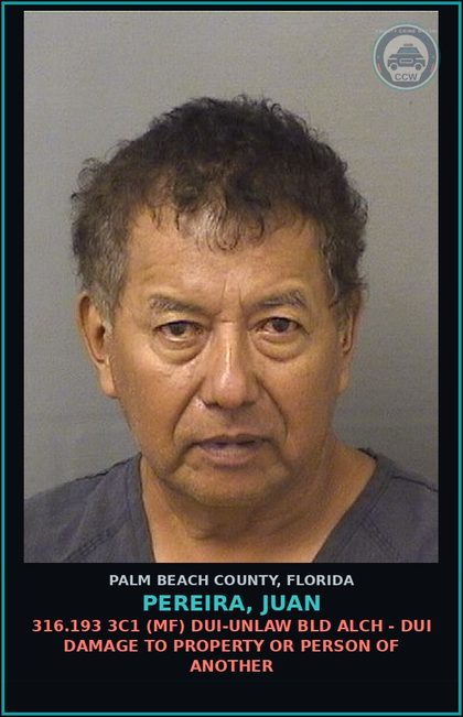 CCW arrest card for PEREIRA, JUAN in Palm Beach County: 316.193 3C1 (MF) DUI-UNLAW BLD ALCH - DUI DAMAGE TO PROPERTY OR PERSON OF ANOTHER