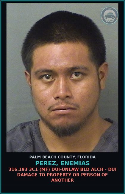 CCW arrest card for PEREZ, ENEMIAS in Palm Beach County: 316.193 1C (MS) DUI-UNLAW BLD ALCH - DUI BREATH ALCOHOL 0.08 OR MORE PER 210 L